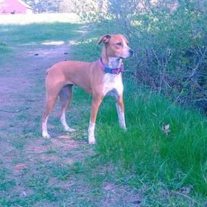 Meet your Posher, Margaret